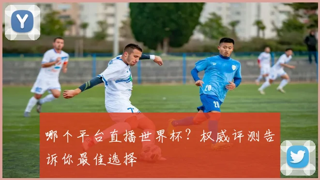 哪个平台直播世界杯？权威评测告诉你最佳选择