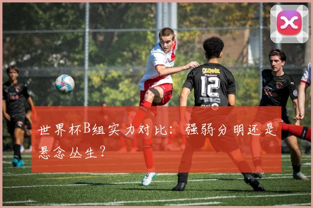 世界杯B组实力对比：强弱分明还是悬念丛生？