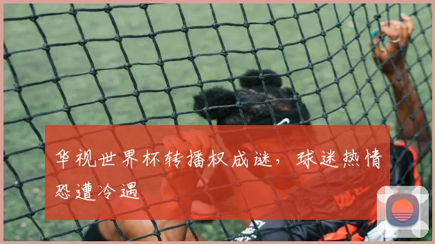 华视世界杯转播权成谜,球迷热情恐遭冷遇