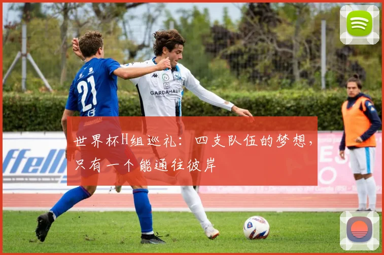 世界杯H组巡礼：四支队伍的梦想，只有一个能通往彼岸