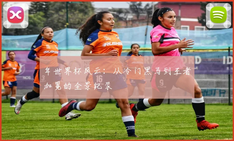 年世界杯风云：从冷门黑马到王者加冕的全景纪录