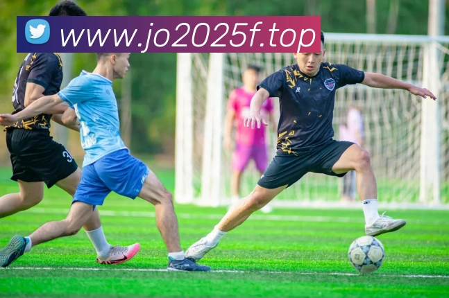 开云app官方入口网页版发展历程